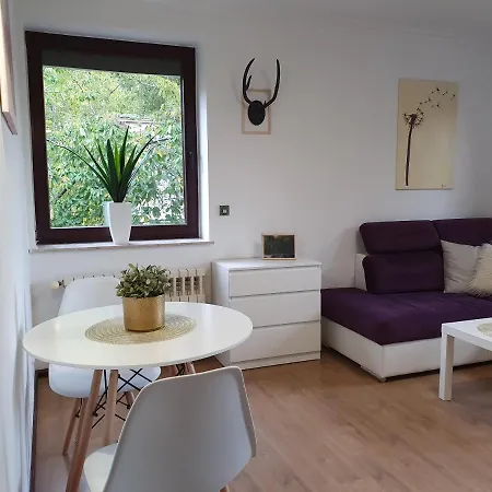 Studio Zubrova Gdansk