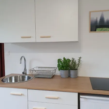 Studio Zubrova Apartment *