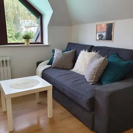 Studio Zubrova Apartment
