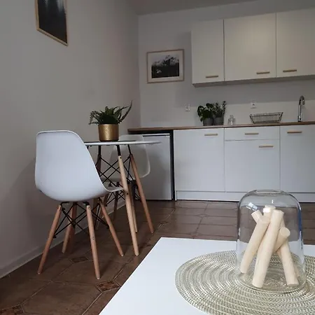 Studio Zubrova Apartment *