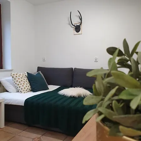 Apartment Studio Zubrova