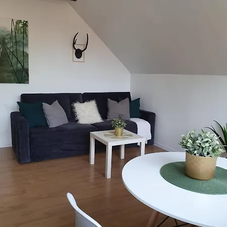 Studio Zubrova Apartment *