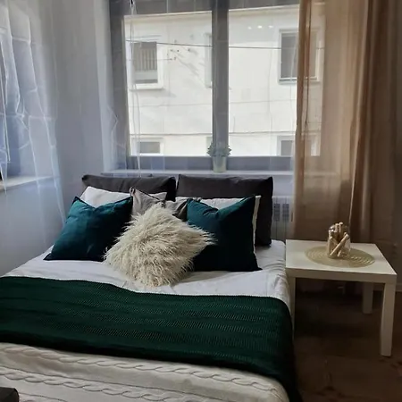 Studio Zubrova Apartment