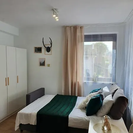 Apartment Studio Zubrova