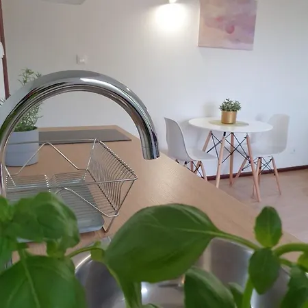 Apartment Studio Zubrova *