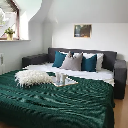 Studio Zubrova Apartment *