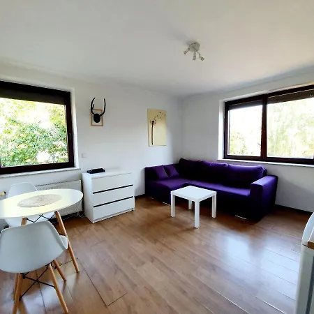 Studio Zubrova
